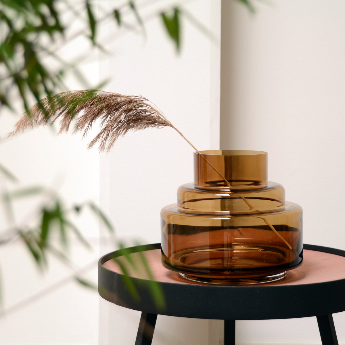 Vaas Chari cognac