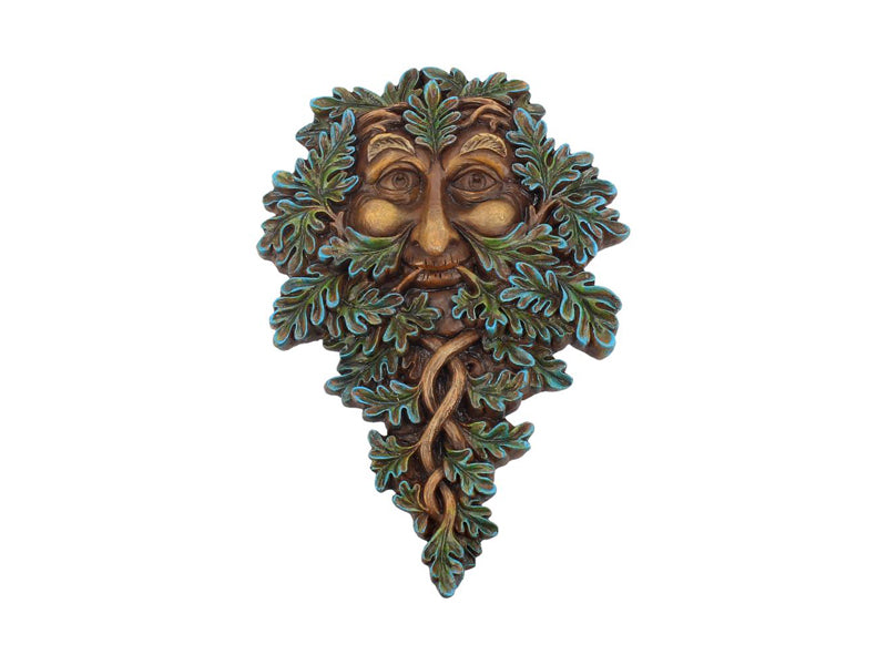 Boomgeest Oak Guardian