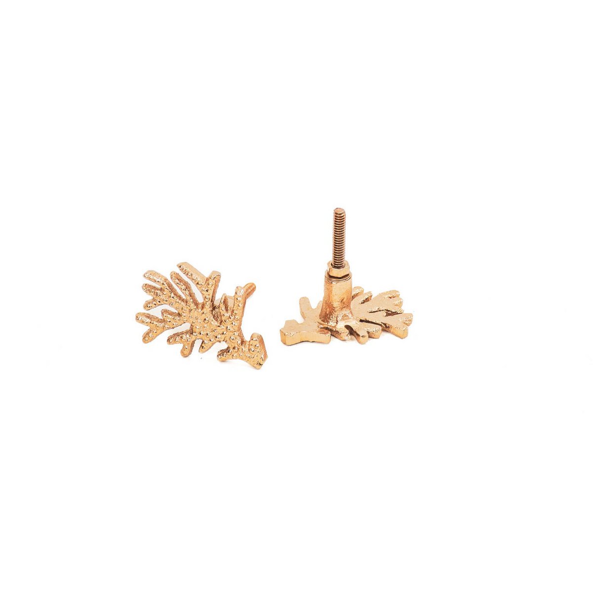 Deurknoppen - Zeeplant - Metaal - Goud - S2 - 6x6x9cm