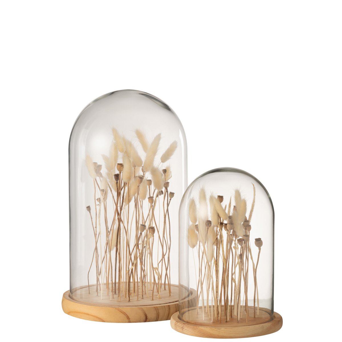 J-Line Stolp Droogbloemen Ecru/Bruin Glas Hout Groot