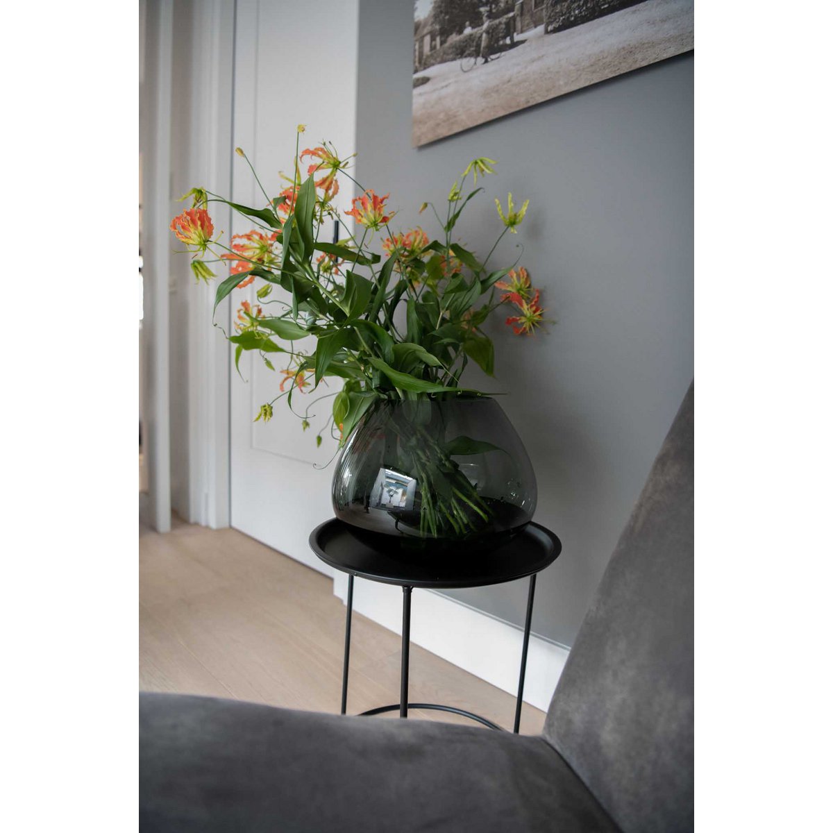 Vaas Morava grey