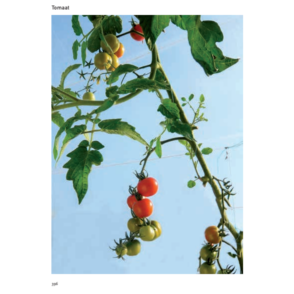 Kookboek Groentebijbel