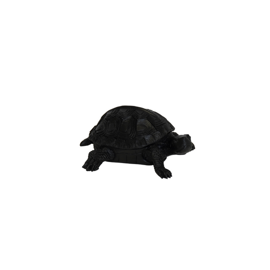 Schildpaddoos - Polyresin - Zwart - 15,5x13,5x7,5cm