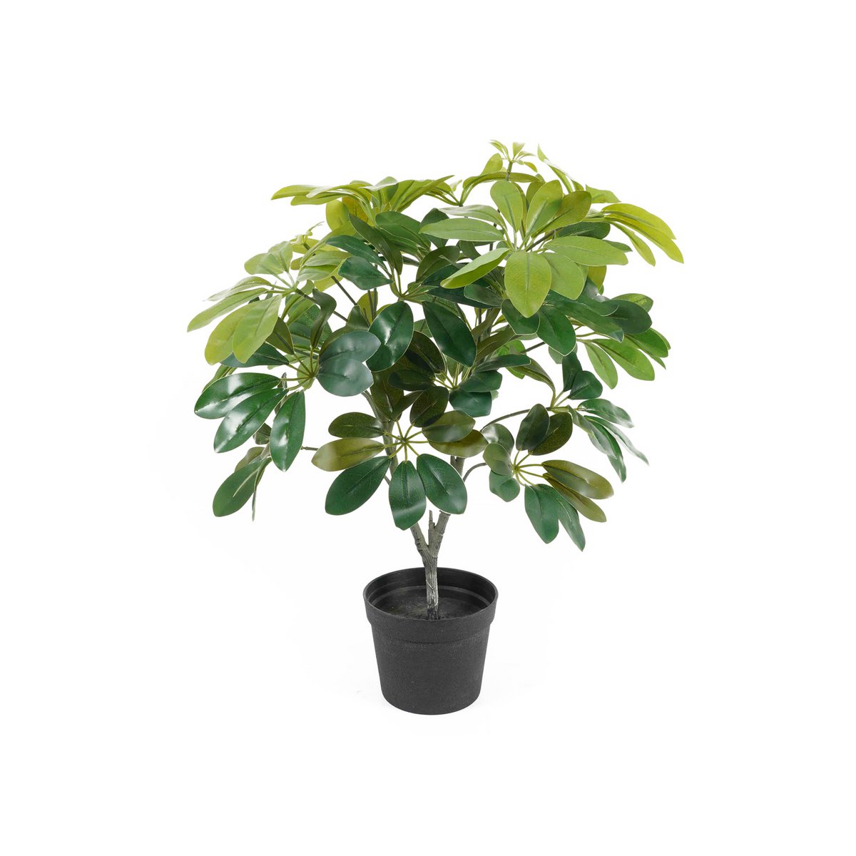 Kunstplant Schefflera