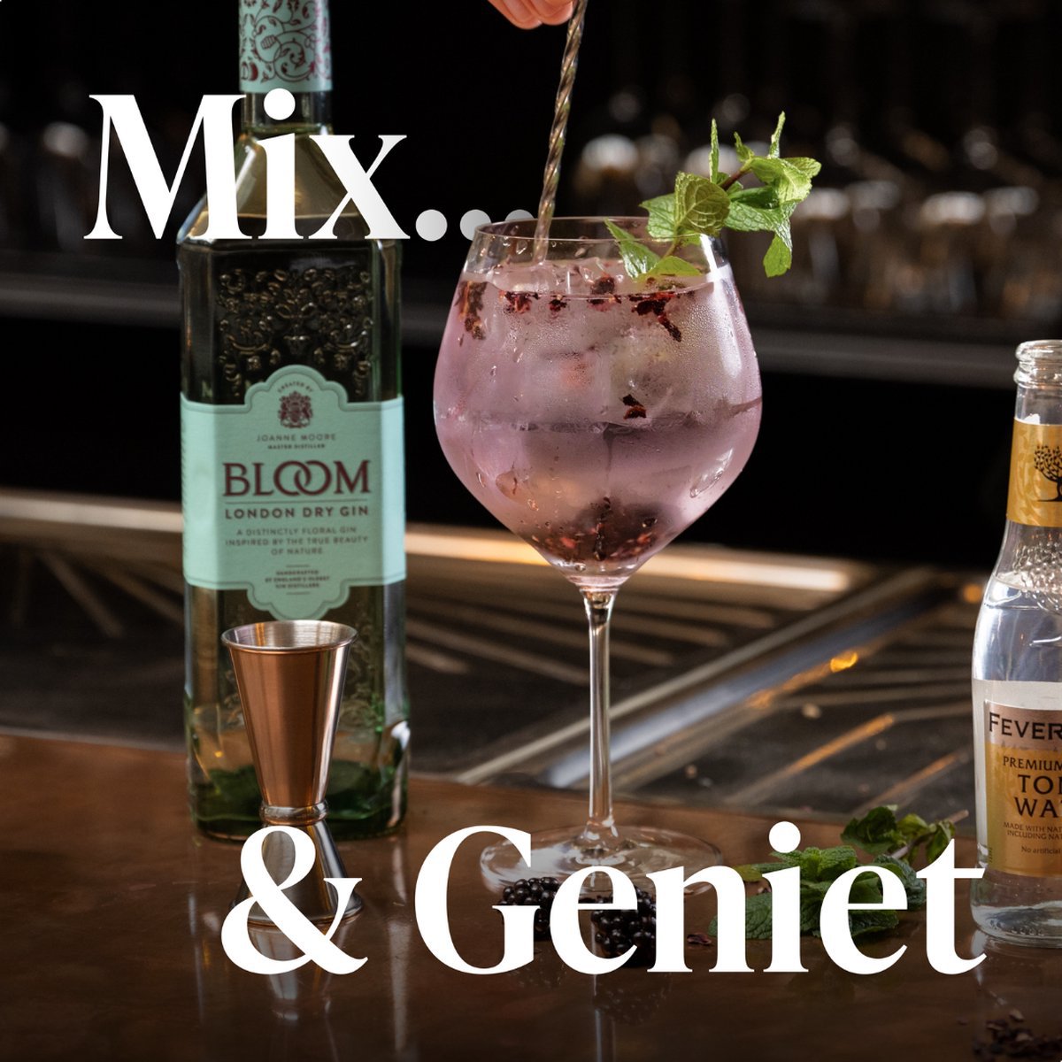 Cocktail set Gin Tonic